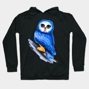 Blue Philippine Owl Hoodie